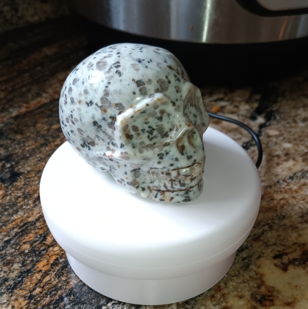 Kiwi Stone Large Skull